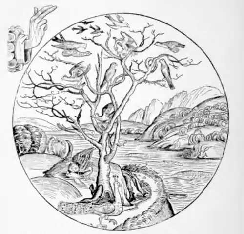 The Fifth Day Of Creation.png