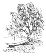 The Kobzar of the Ukraine - p77.png