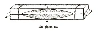 The Passenger Pigeon - Mershon (p120 cropped).png