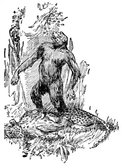 The Son of Tarzan - The victory cry of the bull ape.png