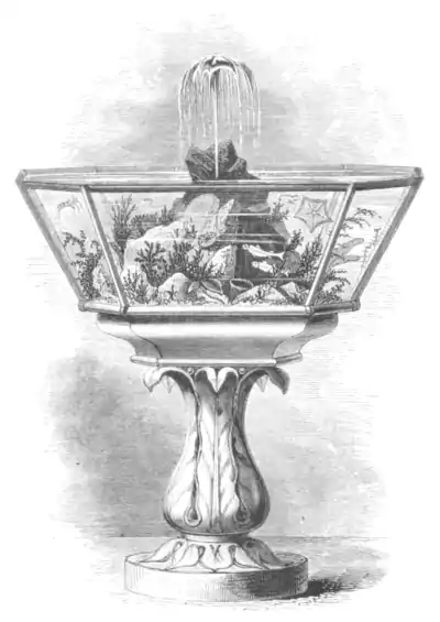 The aquarium - The Fountain Aquarium.png