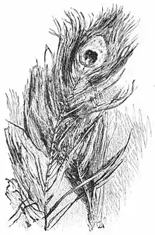 The poems of Richard Watson Gilder, 1908, image from DJVU pg 30.jpg