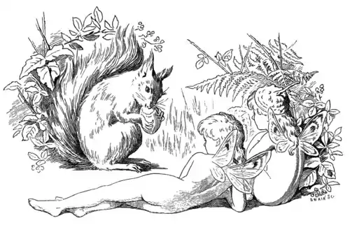FAIRIES AND SQUIRREL