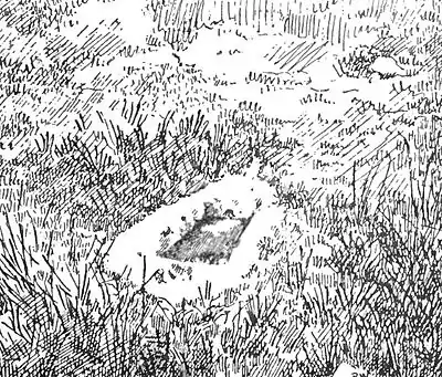 Tim-mould,Deep Sincombe.jpg