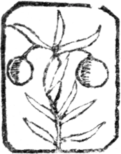 Tragedy of Sir James the Rose (1) - Title.png