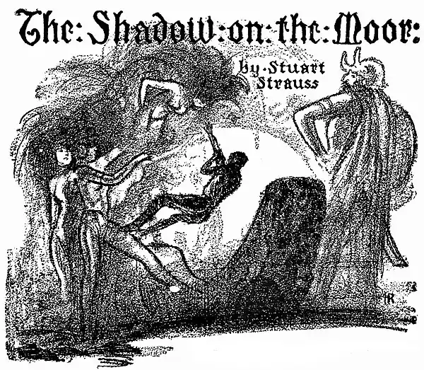 The Shadow on the Moor by Stuart Strauss