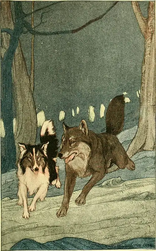 White Fang - In the woods, side by side, White Fang ran with Collie.jpg