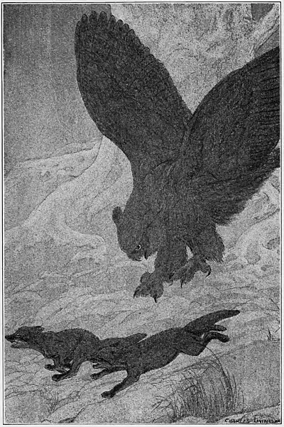 Wildfol00scov pg187.jpg