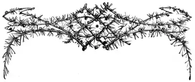 Women worth Emulating - Chapter 2 Headpiece.png