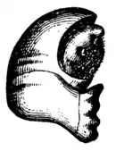 Wood 1865 Myriapoda of North America 24.png