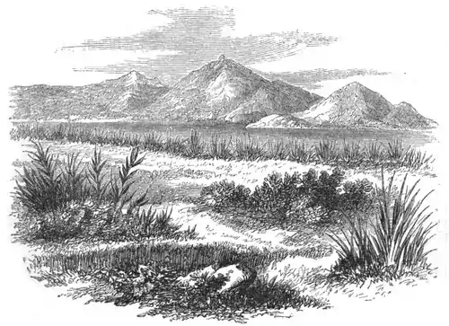 Engraving of distinct mountains with foreground scrub