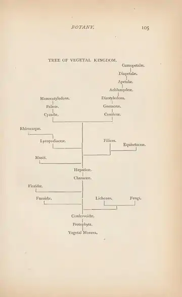 Evolution of Life (Henry Cadwalader Chapman, 1873).djvu