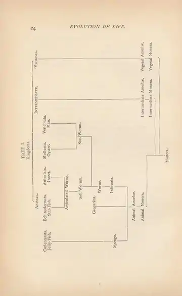 Evolution of Life (Henry Cadwalader Chapman, 1873).djvu