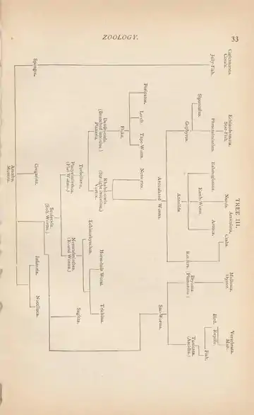 Evolution of Life (Henry Cadwalader Chapman, 1873).djvu