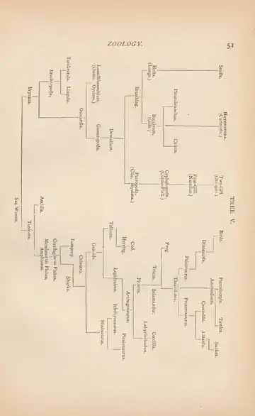 Evolution of Life (Henry Cadwalader Chapman, 1873).djvu